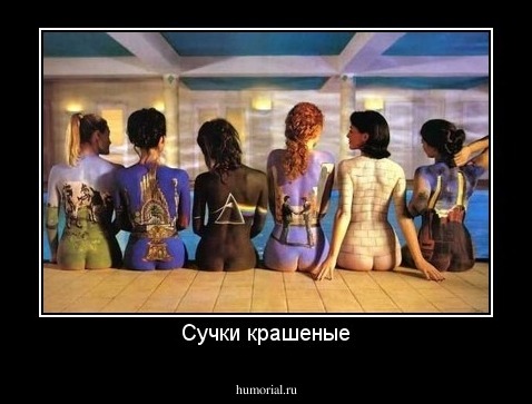 Сучки крашеные