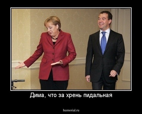 Дима, что за хрень пидальная