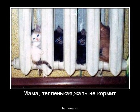 Мама, тепленькая,жаль не кормит.