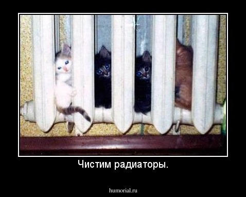 Чистим радиаторы.
