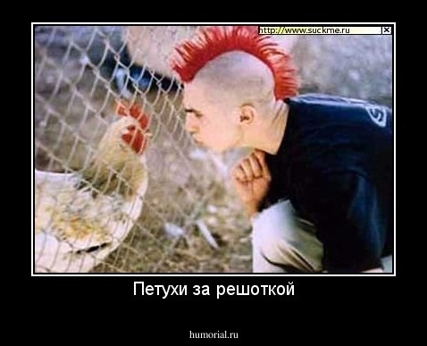 Петухи за решоткой