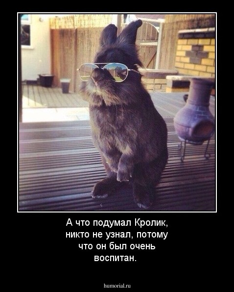 А что подумал Кролик, никто не узнал, потому что он был очень воспитан.