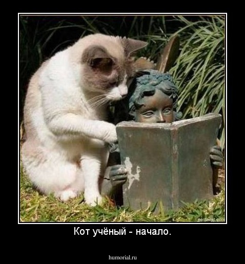 Кот учёный - начало.