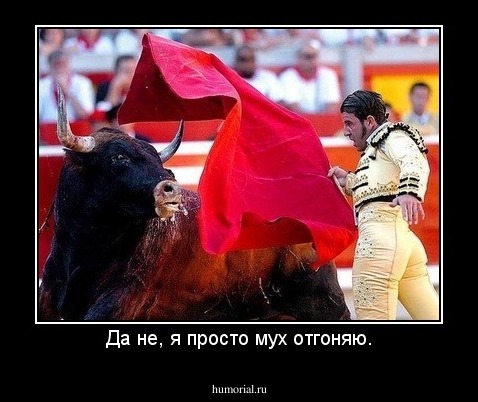 Да не, я просто мух отгоняю.