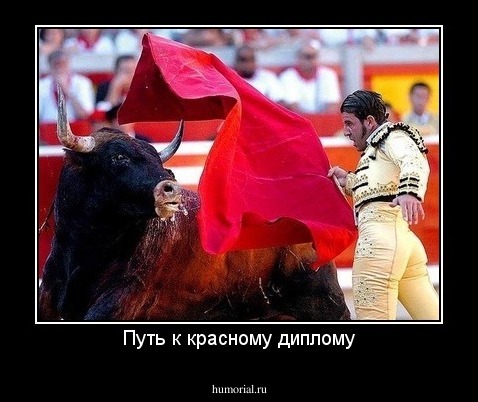 Путь к красному диплому