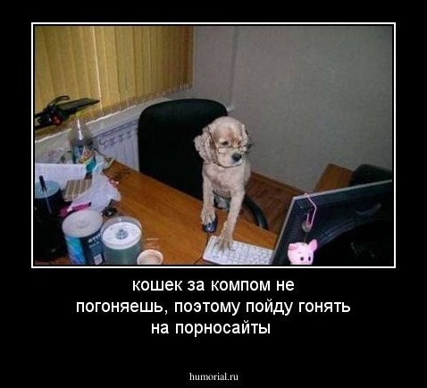 кошек за компом не погоняешь, поэтому пойду гонять на порносайты