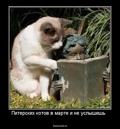 Питерских котов в марте и не услышишь  