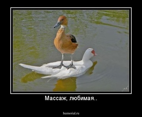 Массаж, любимая..