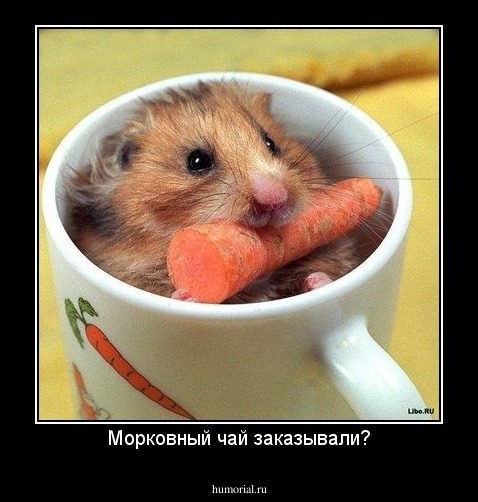 Морковный чай заказывали?