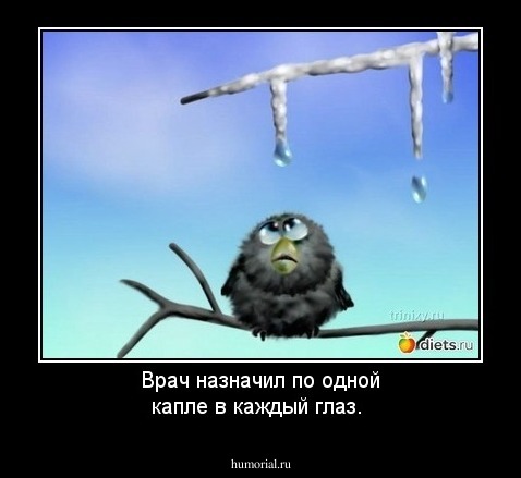 Врач назначил по одной капле в каждый глаз.