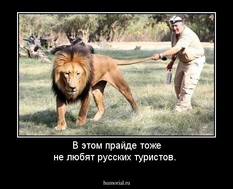 В этом прайде тоже не любят русских туристов.