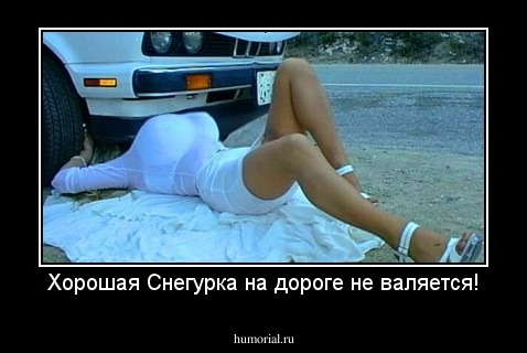 Хорошая Снегурка на дороге не валяется!