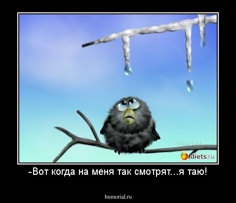 -Вот когда на меня так смотрят...я таю!