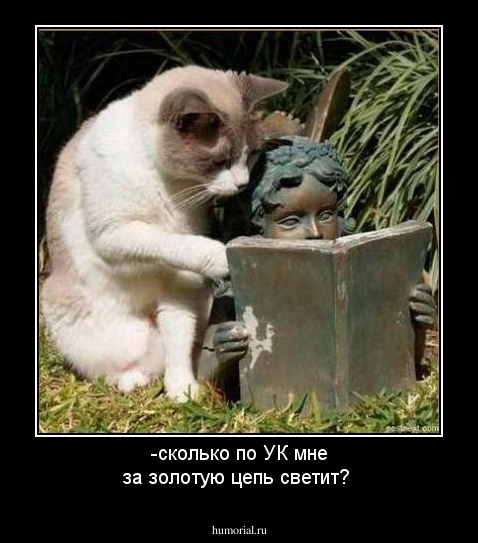 -сколько по УК мне за золотую цепь светит?