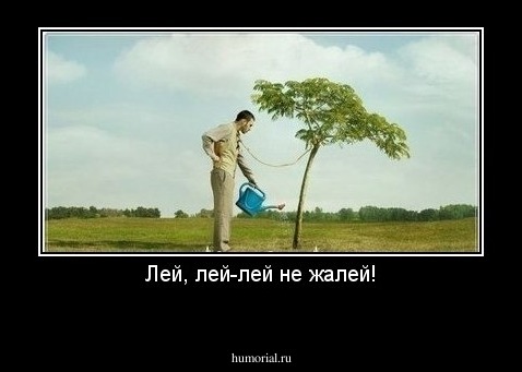 Лей, лей-лей не жалей!
