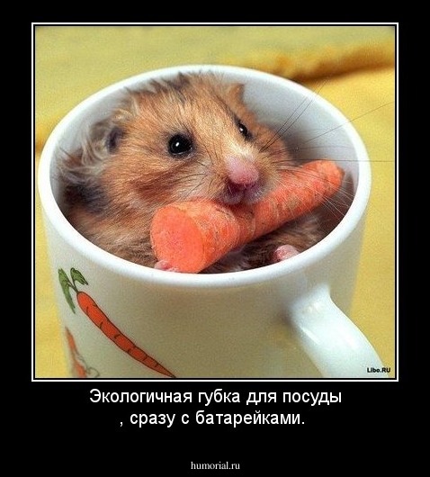 Экологичная губка для посуды , сразу с батарейками.