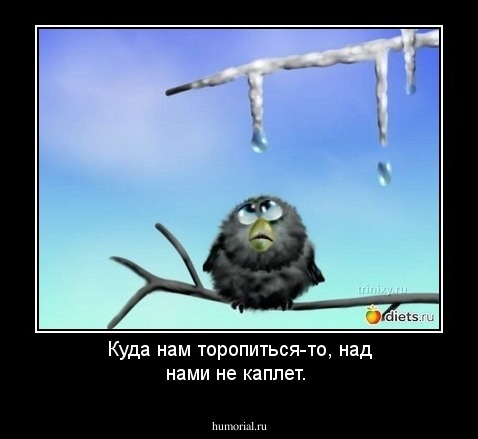 Куда нам торопиться-то, над нами не каплет.