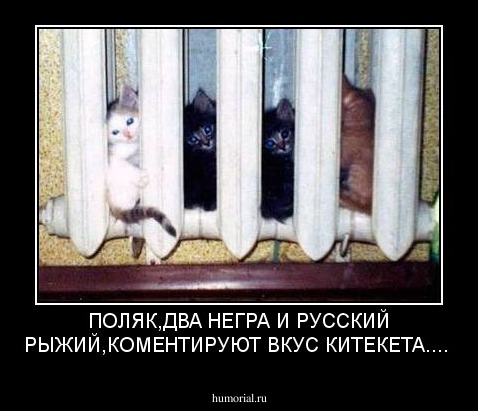 ПОЛЯК,ДВА НЕГРА И РУССКИЙ РЫЖИЙ,КОМЕНТИРУЮТ ВКУС КИТЕКЕТА....