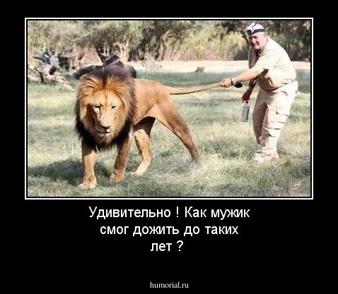 Удивительно ! Как мужик смог дожить до таких лет ?