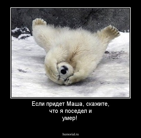 Если придет Маша, скажите, что я поседел и умер!