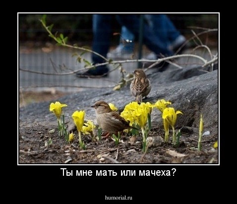 Ты мне мать или мачеха?