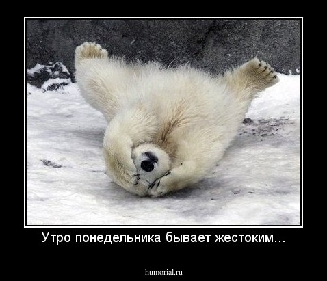 Утро понедельника бывает жестоким...
