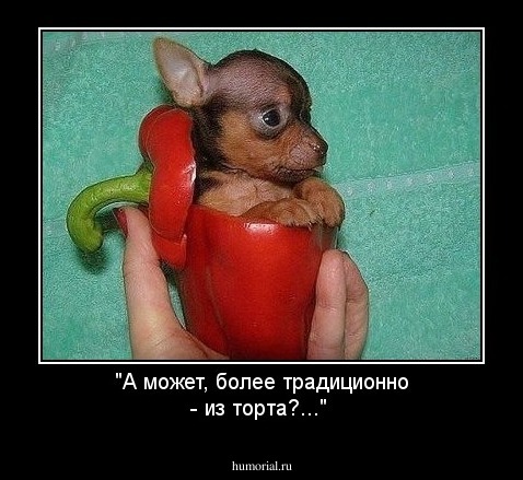 "А может, более традиционно - из торта?..."