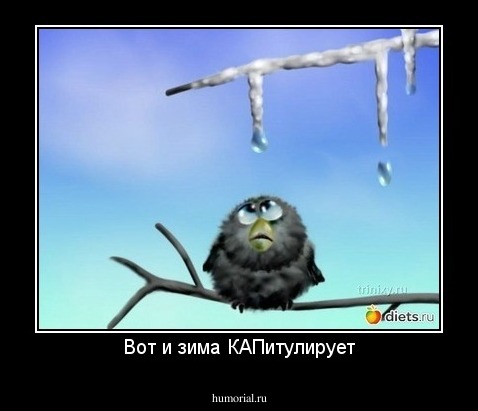 Вот и зима КАПитулирует