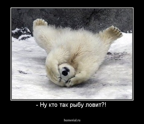 - Ну кто так рыбу ловит?! 