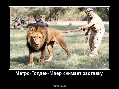 Метро-Голден-Маер снимает заставку.