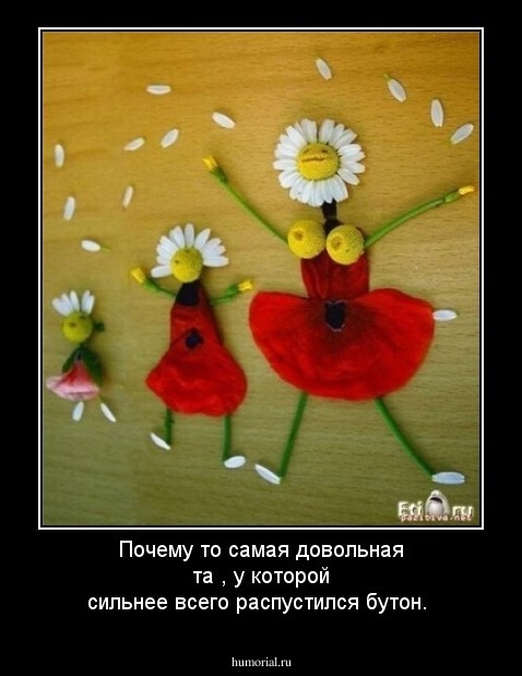 Почему то самая довольная та ,  у которой сильнее всего распустился бутон.