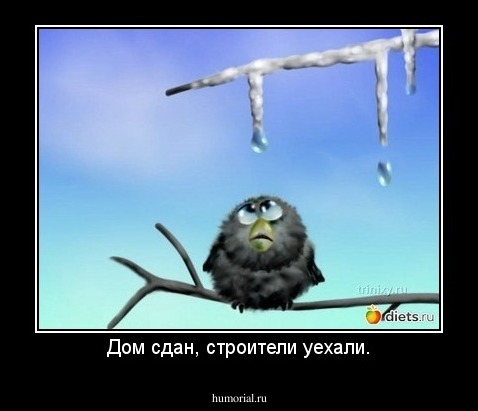 Дом сдан, строители уехали.