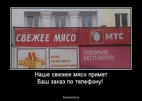 Наше свежее мясо примет Ваш заказ по телефону!