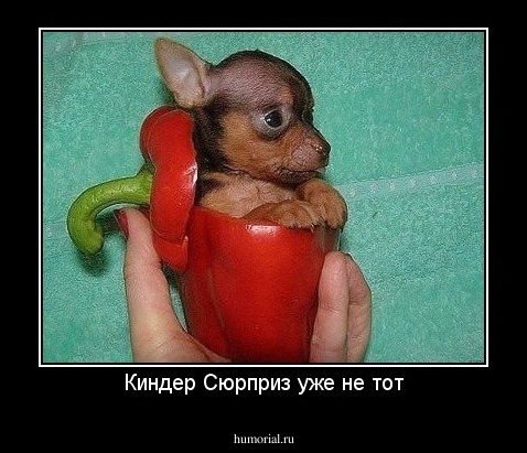 Киндер Сюрприз уже не тот