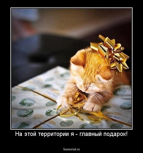 На этой территории я - главный подарок!