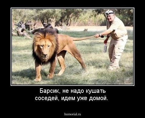 Барсик, не надо кушать соседей, идем уже домой.