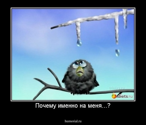 Почему именно на меня...?