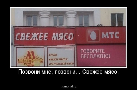 Позвони мне, позвони... Свежее мясо.