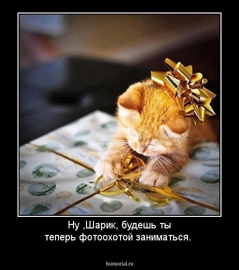 Ну ,Шарик, будешь ты теперь фотоохотой заниматься.