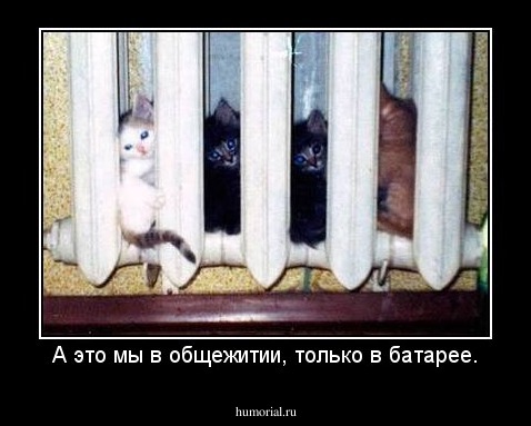 А это мы в общежитии, только в батарее.