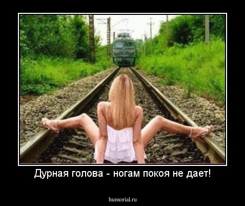 Дурная голова - ногам покоя не дает!