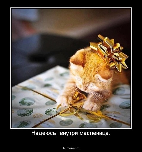 Надеюсь, внутри масленица.