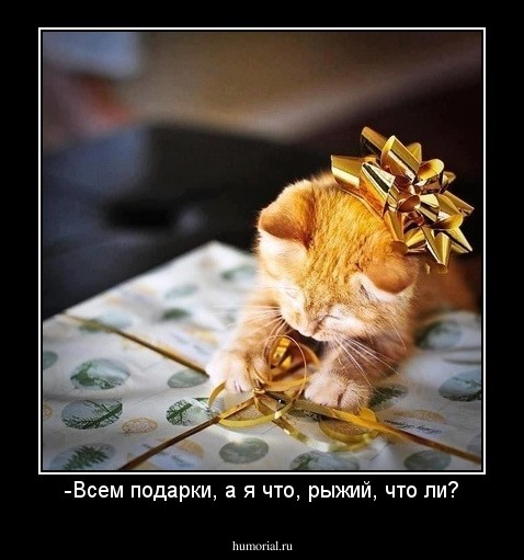 -Всем подарки, а я что, рыжий, что ли?