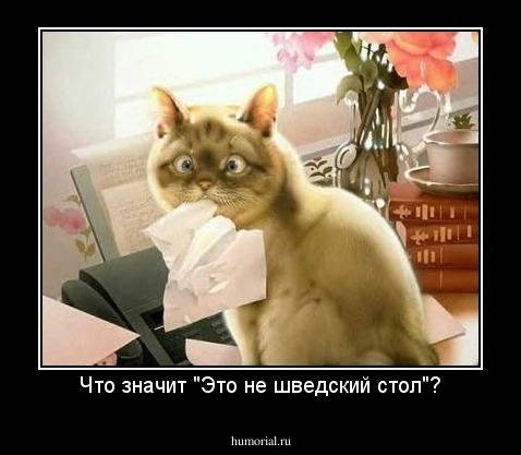 Что значит "Это не шведский стол"?