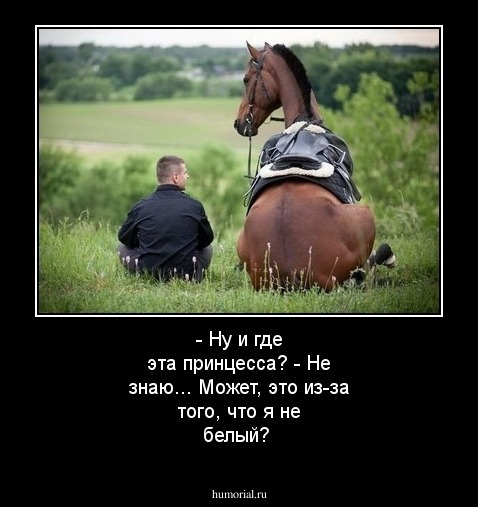 - Ну и где эта принцесса?
- Не знаю... Может, это из-за того, что я не белый?