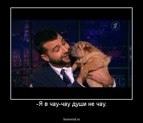 -Я в чау-чау души не чау.