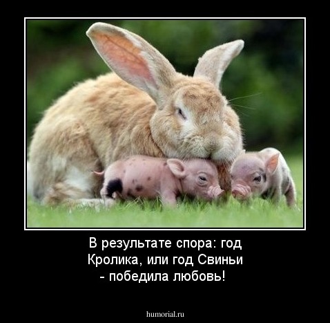 В результате спора: год Кролика, или год Свиньи - победила любовь!
