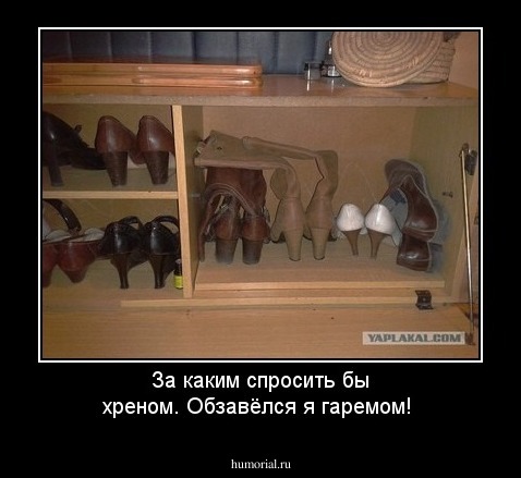 За каким спросить бы хреном. Обзавёлся я гаремом!