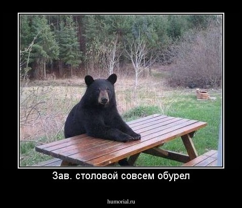 Зав. столовой совсем обурел