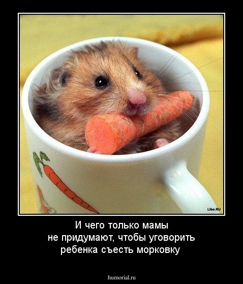 И чего только мамы не придумают, чтобы уговорить ребенка съесть морковку